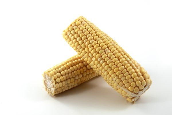 Organic Sweet Corn - Image 2