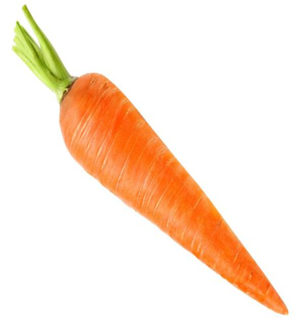 Carrot (Gajar) - Image 3