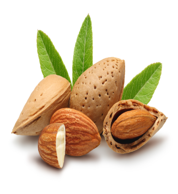 Almond Badam - Image 2