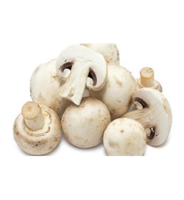 Mushroom - Image 2