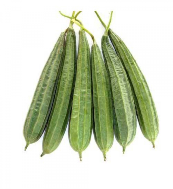 Ridge Gourd (Jhinga) - Image 2