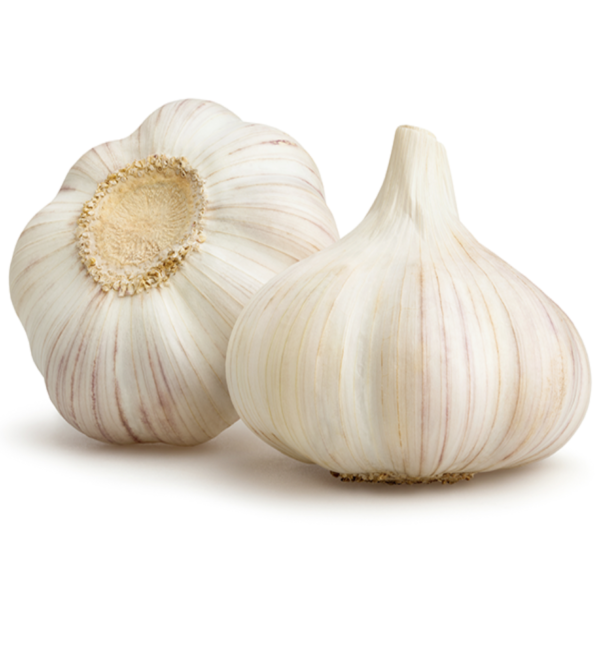 Garlic (Lahsun)