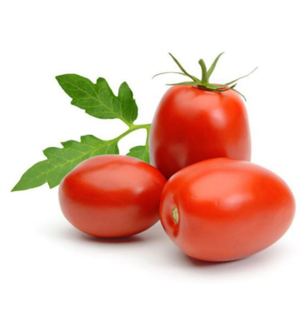 Tomato Hybrid