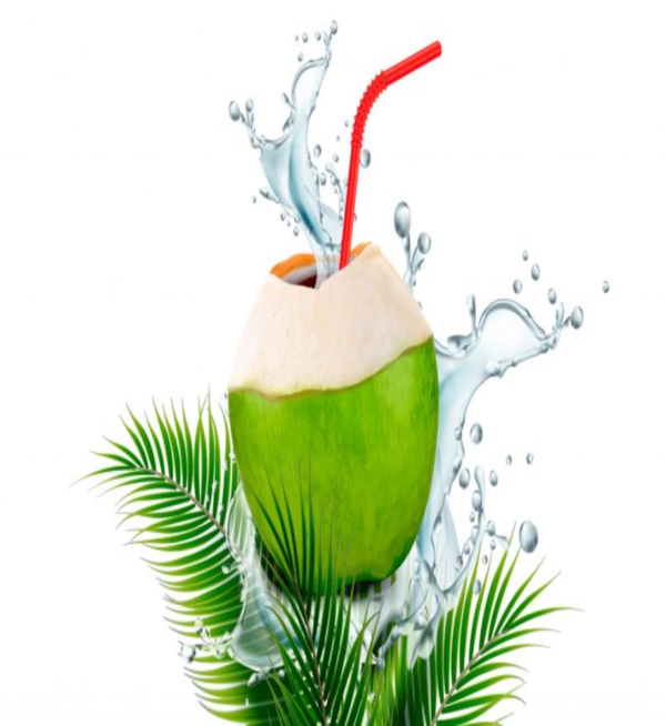 Tender Coconut (Nariyal Pani) - Image 3