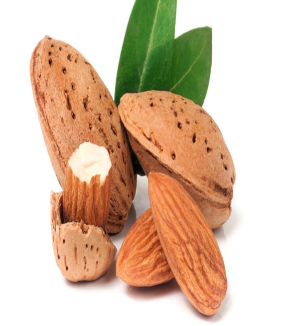 Almond Badam - Image 3