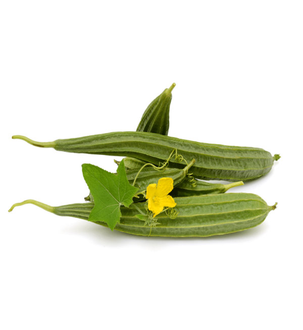 Ridge Gourd (Jhinga)