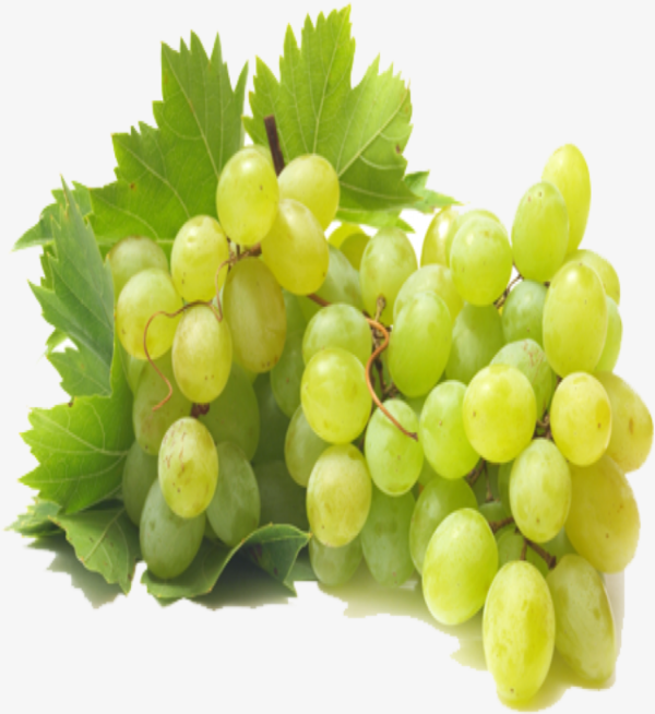Grapes (Angur) - Image 3