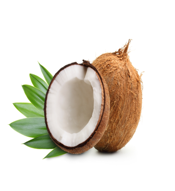 Coconut (Nariyal) - Image 2