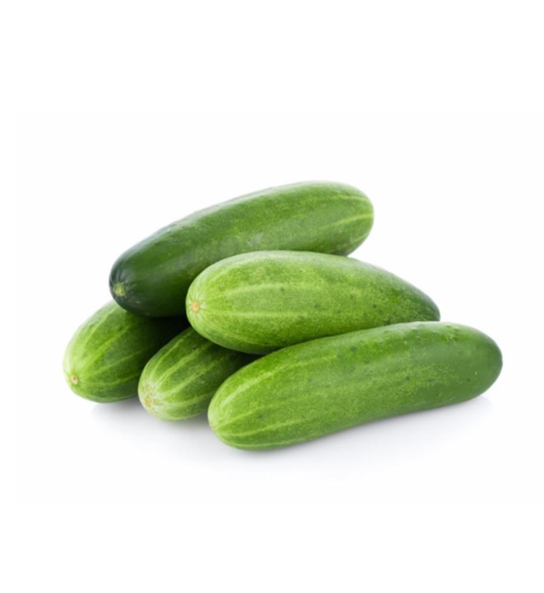 Cucumber (Kheera )