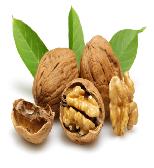 Walnut (Akhrot) - Image 2