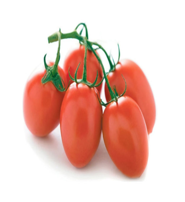 Tomato Hybrid - Image 4