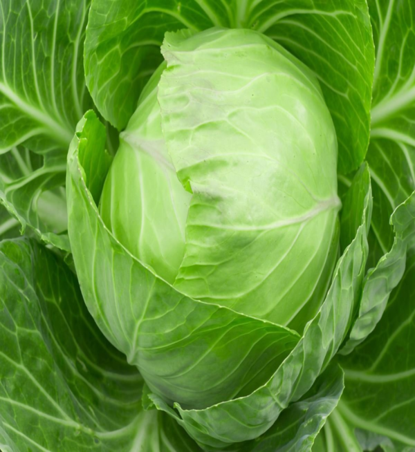 Cabbage (Patta Gobi) - Image 2