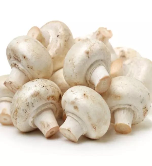 Mushroom - Image 3