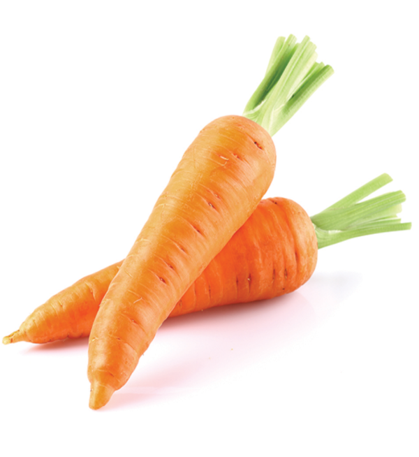 Carrot (Gajar) - Image 4