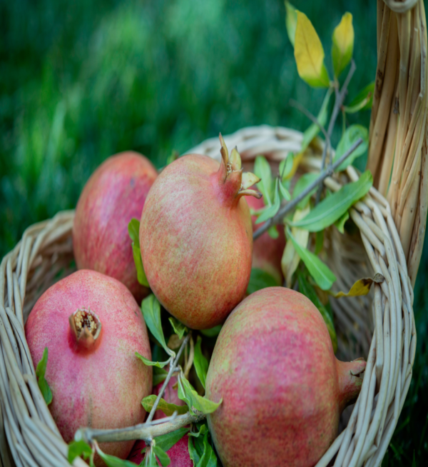 Pomegranate (Anar) - Image 4