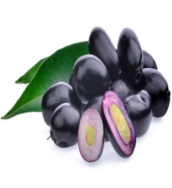 Black Plum (Jamun)