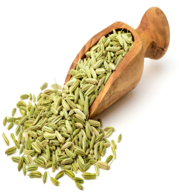 Fennel Seed (Sounf) 100 Grams
